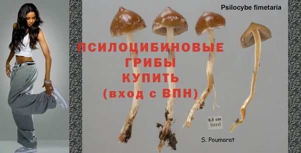 гидропоника Дмитровск