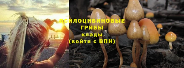 гидропоника Дмитровск