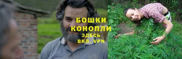 гидропоника Дмитровск